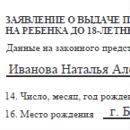 Образец анкеты на загранпаспорт ребенку